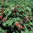 Produktbild 6