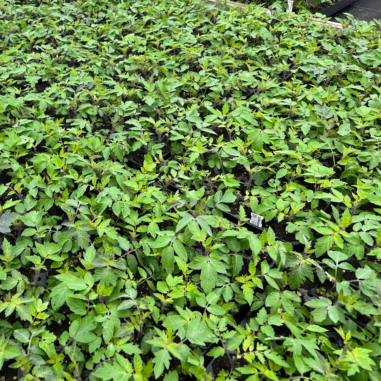 Produktbild 4