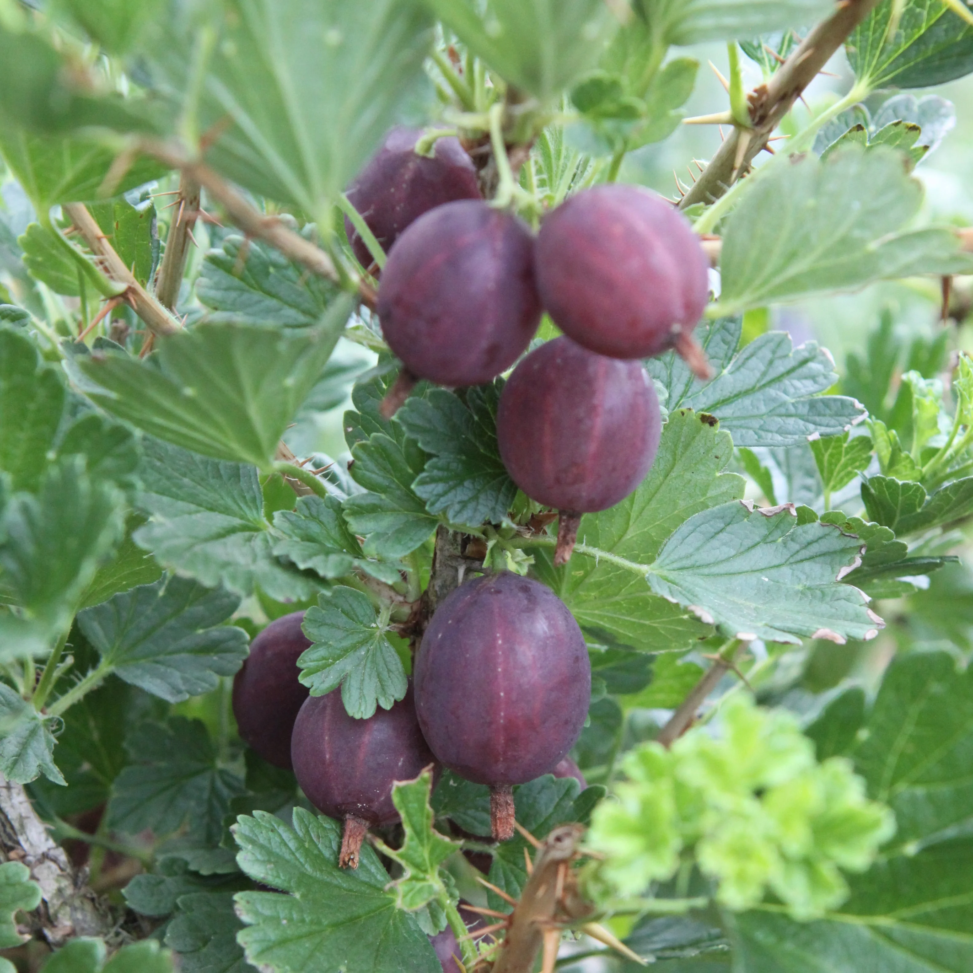 Produktbild 3