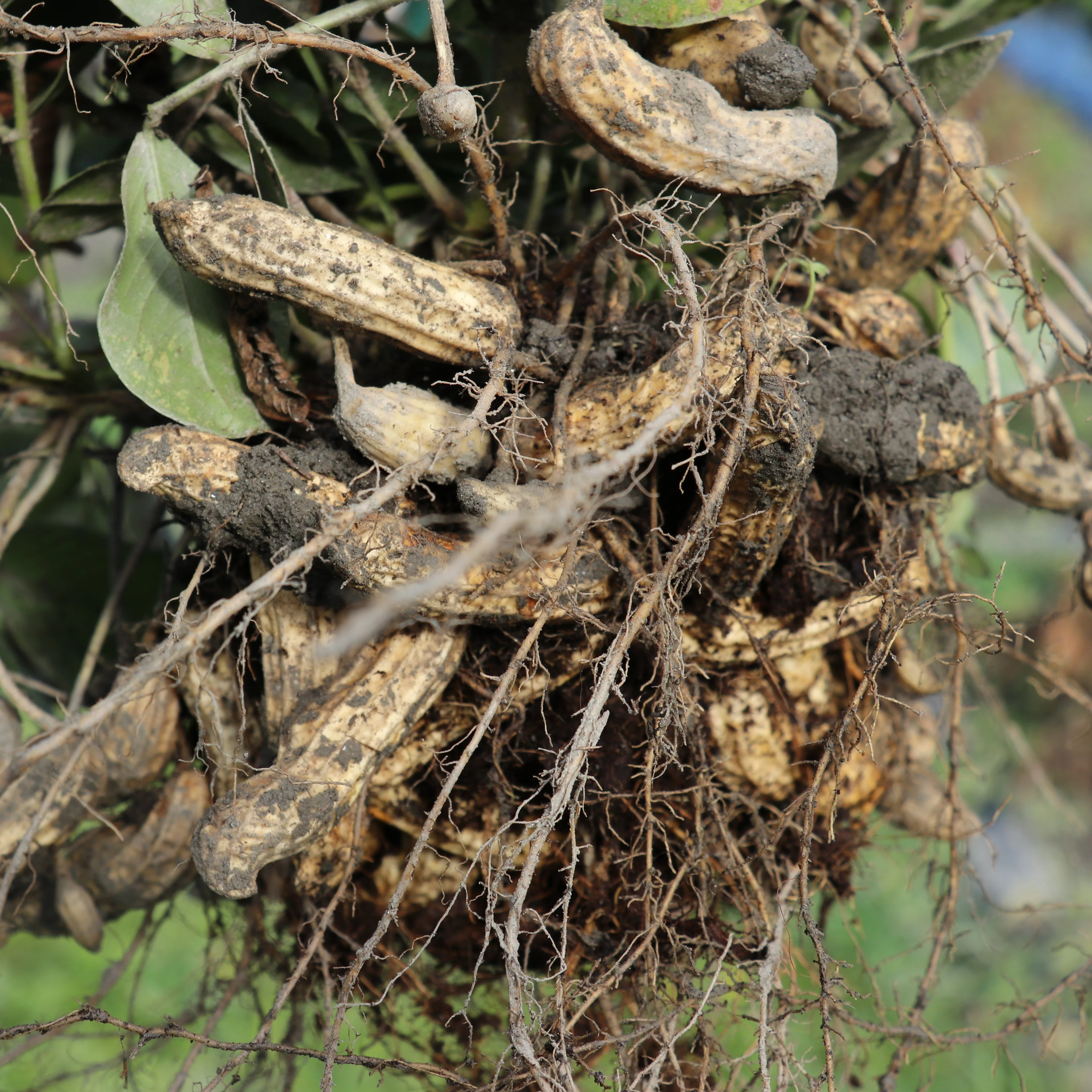 Produktbild 3