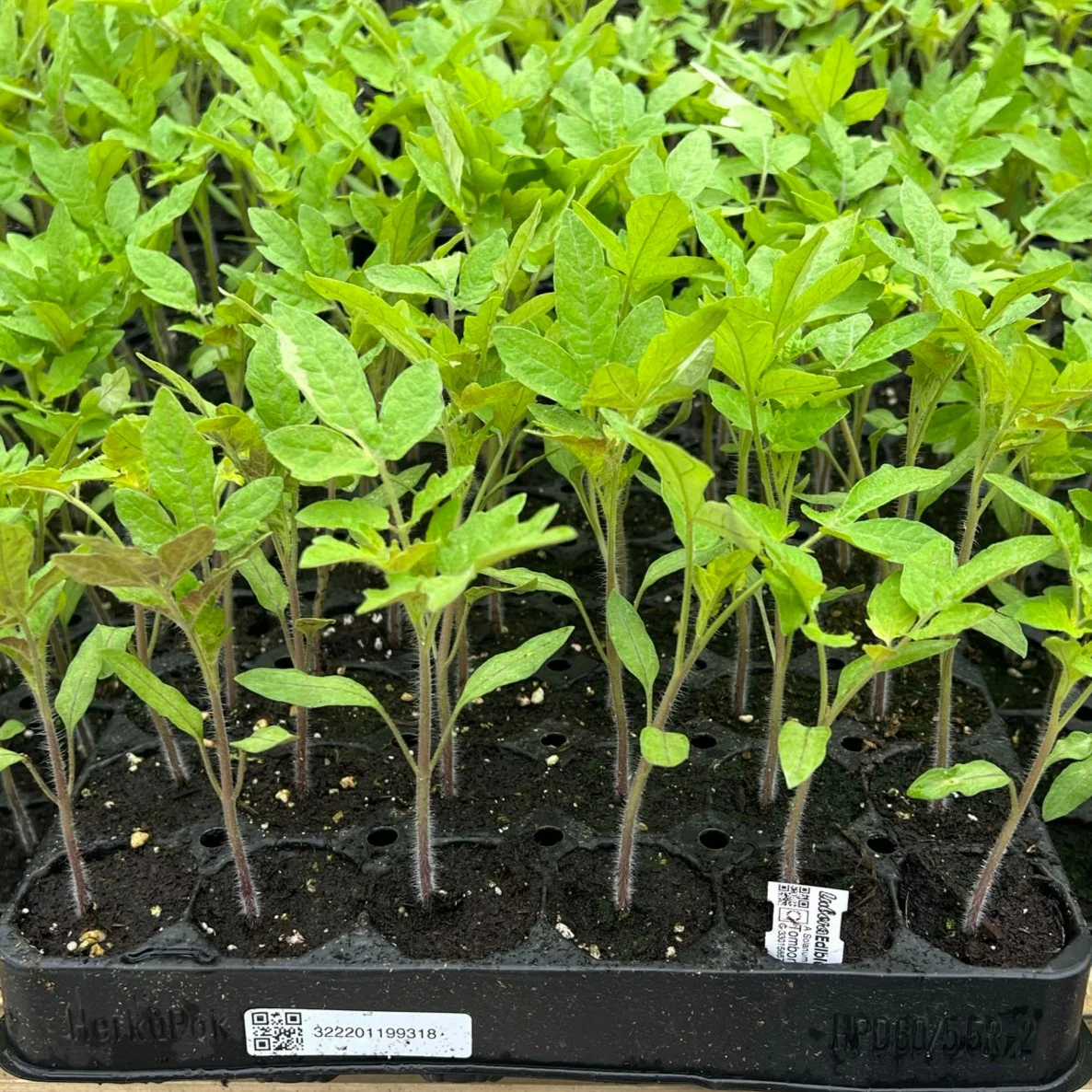 Produktbild 2